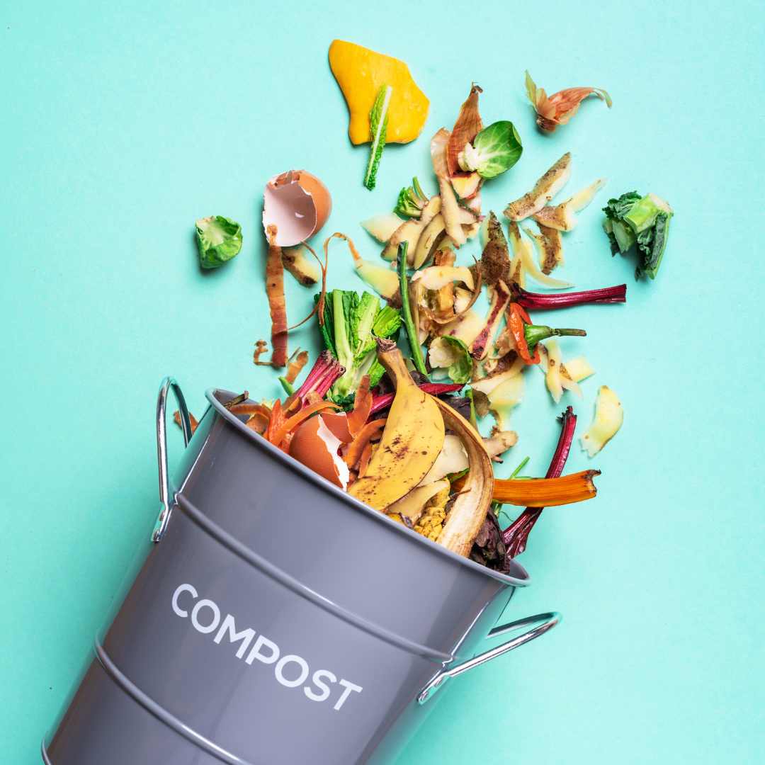 photo of compost bucket and food waste.jpg 