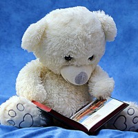 photo of stuffed bear with book