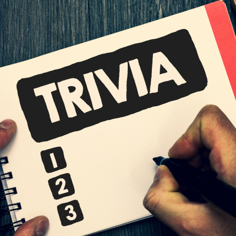 photo of trivia game